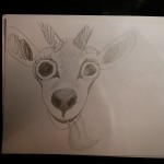 goat sketch